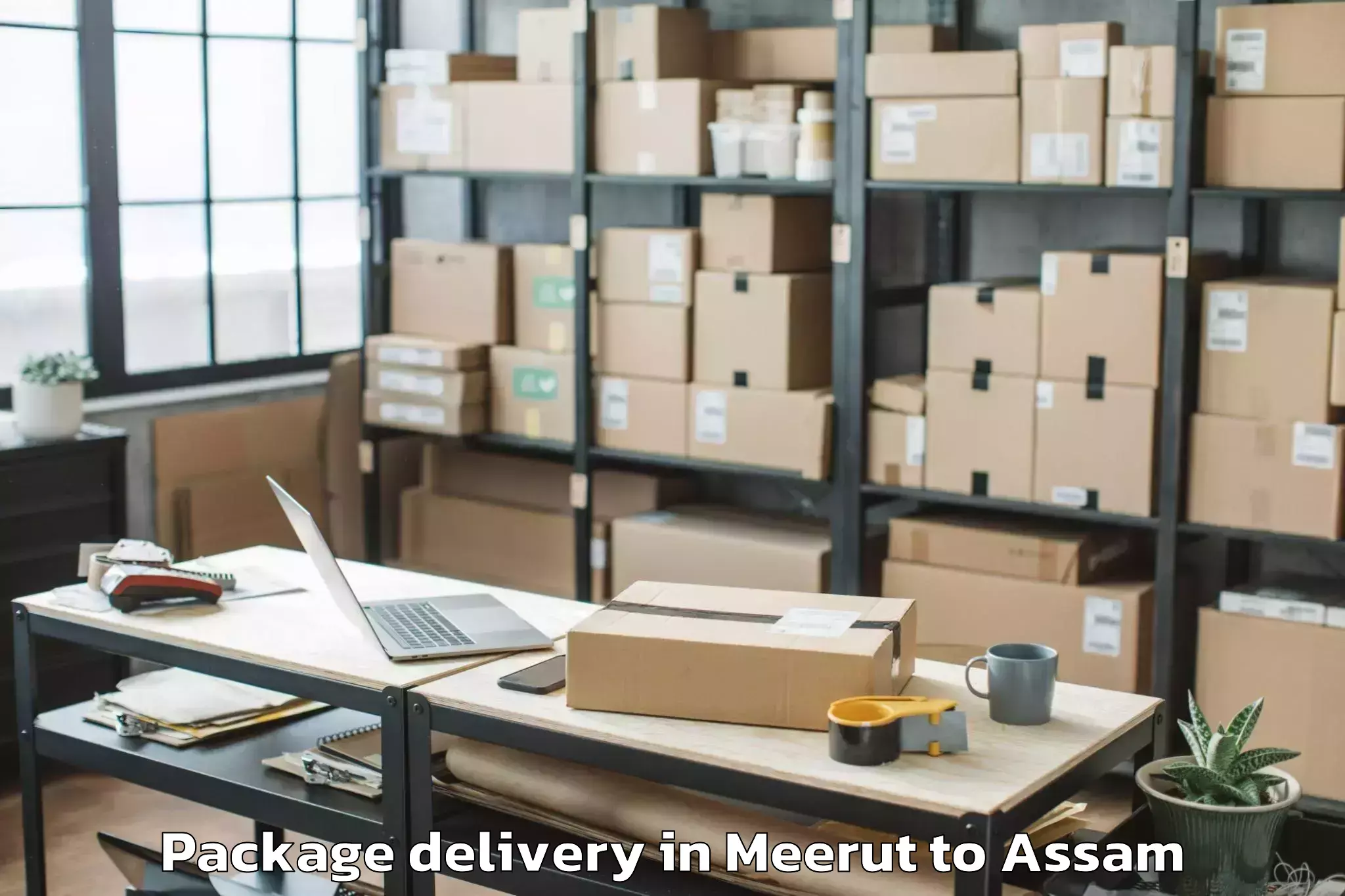 Hassle-Free Meerut to Biswanath Charali Package Delivery